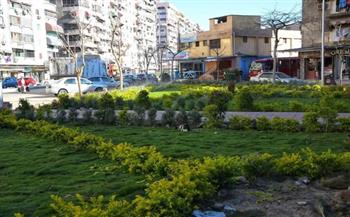 محافظ بورسعيد يوجه بتكثيف أعمال التشجير بعدد من الشوارع الرئيسية