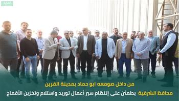 محافظ الشرقية يتابع موسم حصاد وتوريد القمح ويتفقد مشروع تسمين الماشية