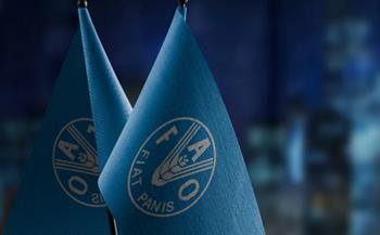 «الفاو»: إغلاق مضيق هرمز يؤثر سلبًا على الأمن الغذائي وسلاسل إمداد الطاقة