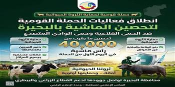 إنطلاق فعاليات الحملة القومية لتحصين الماشية ضد الحمى القلاعية وحمى الوادي المتصدع بالبحيرة