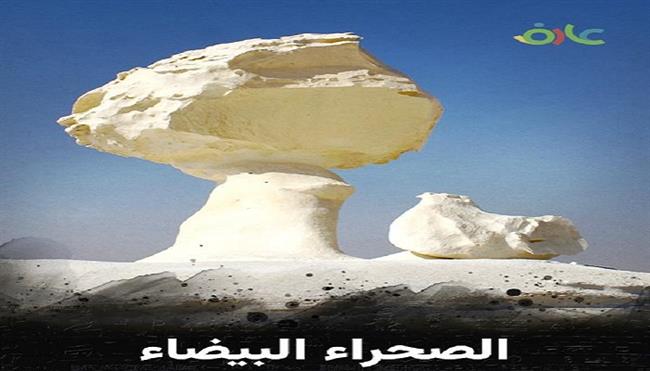 مكتبة الإسكندرية تُطلق الفيلم الوثائقي «محمية الصحراء البيضاء» بسلسلة «عارف» 