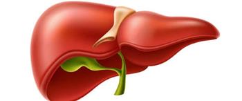 إشارات تحذيرية تدل على إجهاد الكبد