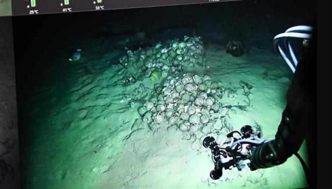 شاهد.. روبوت يلتقط كنوزًا من سفينة غارقة منذ القرن الـ16