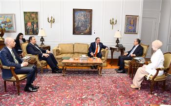 وزير الخارجية يلتقي رئيس لجنة الشئون العربية بمجلس النواب