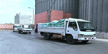 توريد أكثر من 19870 طن قمح حتى صباح اليوم.. ولجان متخصصة لضمان الجودة والإنضباط الكامل