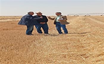 رئيس "البحوث الزراعية" يفتتح موسم حصاد المحاصيل الاستراتيجية بالفرافرة