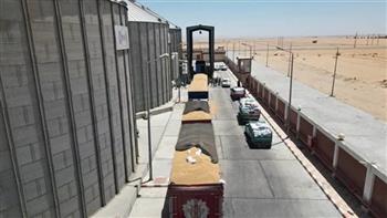 توريد 182 ألفا و621 طنًا من القمح حتى الآن إلى صوامع وشون الوادي الجديد
