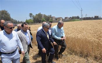 محافظ الدقهلية يطلق موسم حصاد القمح 2026.. ويؤكد: دعم الفلاح أولوية 