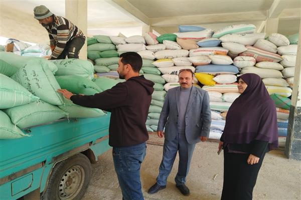 "تموين كفر الشيخ": توريد أكثر من 28624 طنا من محصول القمح حتى الآن 