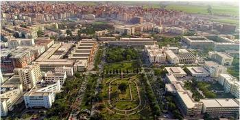 جامعة المنصورة تستضيف فعاليات Microsoft لتنمية المهارات الرقمية للطلاب