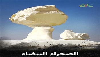 مكتبة الإسكندرية تُطلق الفيلم الوثائقي «محمية الصحراء البيضاء» بسلسلة «عارف» 