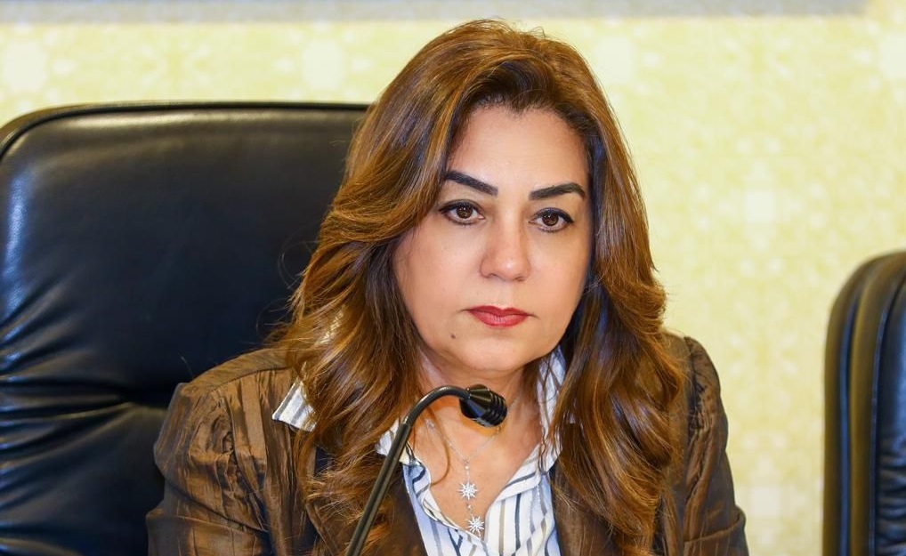 وزيرة التنمية المحلية والبيئة تتلقى تقريرًا حول جهود الوحدة المركزية للسكان خلال شهر مارس 2026 