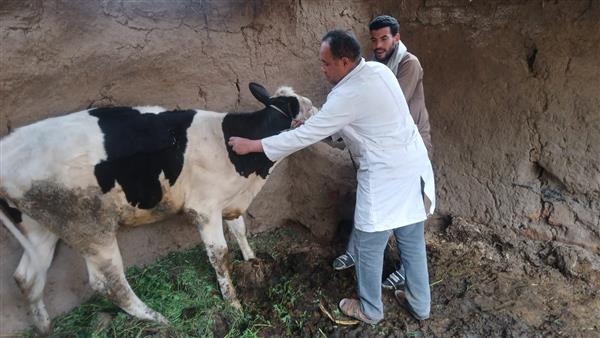 محافظ أسيوط: حققنا نتائج متميزة خلال أول أسبوع من الحملة القومية للتحصين ضد مرضي الجلد العقدي وجدري الأغنام 