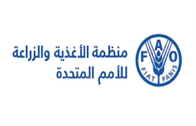 الفاو: ارتفاع أسعار الغذاء عالميًا في مارس مع تصاعد توترات الشرق الأوسط 