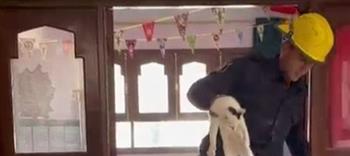 إنقاذ قطة محتجزة داخل معهد تعليمي بالفيوم