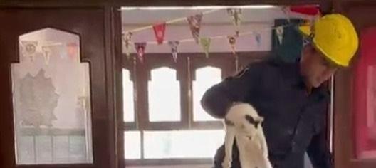 إنقاذ قطة محتجزة داخل معهد تعليمي بالفيوم