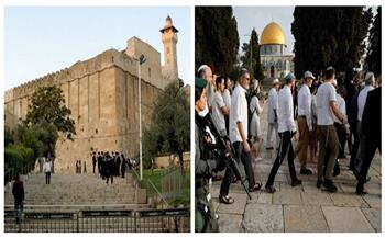 «الأوقاف الفلسطينية»: الأقصى المبارك شهد إغلاقًا كاملًا ومتواصلًا لمدة 37 يومًا على التوالي