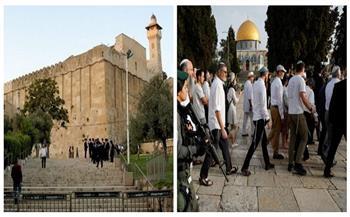 «الأوقاف الفلسطينية»: الأقصى المبارك شهد إغلاقًا كاملًا ومتواصلًا لمدة 37 يومًا على التوالي 