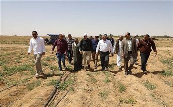 لأول مرة.. محافظ المنيا يشهد حصاد 600 فدان كتان بـ"أبوقرقاص" لتعظيم الاستفادة من الظهير الصحراوي