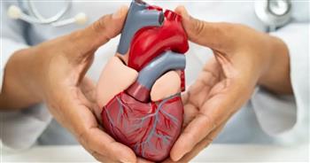 أسباب ارتجاع الصمام الأورطى وأعراضه والوقاية