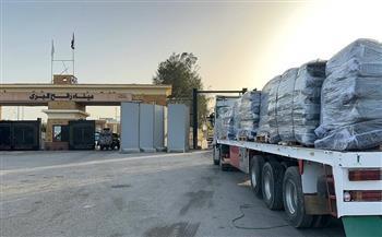 بحمولة 4910 أطنان.. الهلال الأحمر المصري يُطلق قافلة «زاد العزة» الـ 171 من المساعدات إلى غزة 