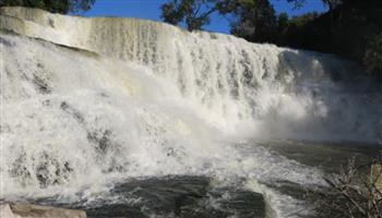 لن تصدق.. سمكة تتسلق شلالات بارتفاع 50 قدمًا