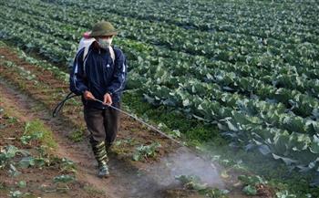 المبيدات الزراعية ترفع خطر الإصابة بالسرطان بنسبة 150%