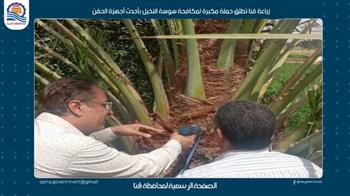  زراعة قنا تطلق حملة مكبرة لمكافحة سوسة النخيل بأحدث أجهزة الحقن