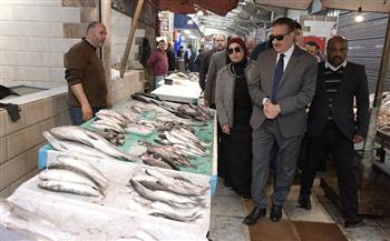 محافظ بورسعيد يتفقد  سوق بورفؤاد الحضاري 