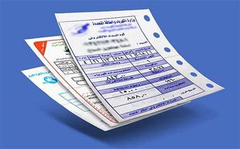 الاستعلام عن قيمة فاتورة الكهرباء أونلاين.. وكيفية الدفع 