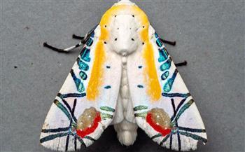 الفن التكعيبي.. كيف حول بيكاسو وبراك الهندسة إلى إبداع