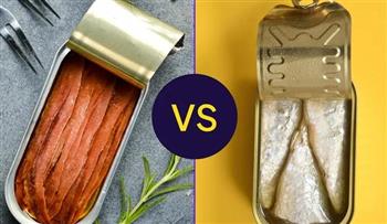 الأنشوجة أم السردين؟.. أيهما يمنحك بروتين أعلى ودهون صحية أكثر؟