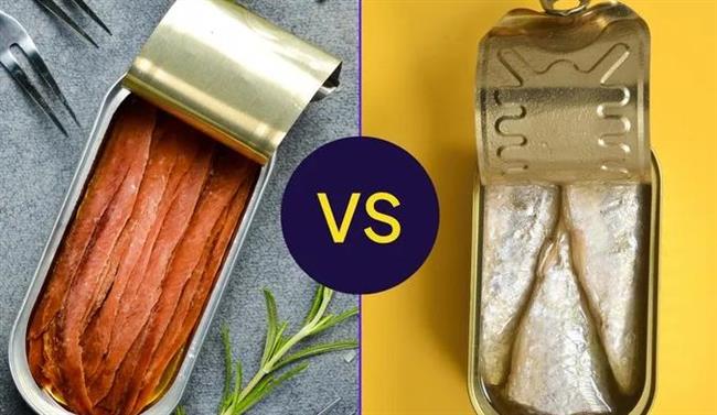 الأنشوجة أم السردين؟.. أيهما يمنحك بروتين أعلى ودهون صحية أكثر؟