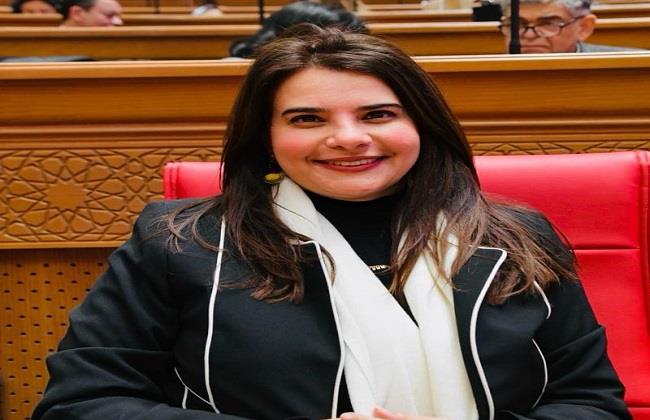 وكيل خارجية النواب: التحركات الدبلوماسية المصرية كانت حاسمة في احتواء التصعيد