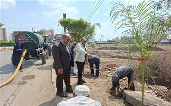 محافظ كفرالشيخ يتابع زراعة الأشجار بدسوق ضمن المبادرة الرئاسية «100 مليون شجرة»