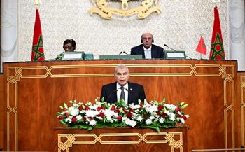 رئيس مجلس الشيوخ يؤكد أهمية تعزيز التعاون بين البرلمانات الإفريقية لدعم التنمية والاستقرار بالقارة