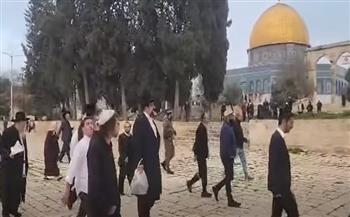 مستوطنون يقتحمون "الأقصى" وسط تمديد غير مسبوق لساعات الاقتحام