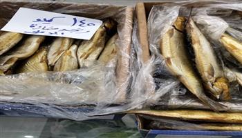 طرح الرنجة بـ145 جنيهًا للكيلو.. التموين تكثف استعداداتها لشم النسيم وسط إقبال كثيف من المواطنين 