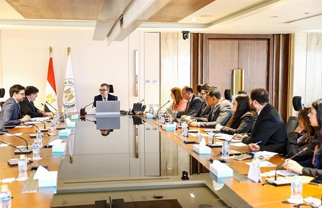 وزير التخطيط يبحث مع منظمة التعاون الاقتصادي والتنمية (OECD) الجهود المشتركة لتمكين القطاع الخاص 