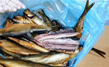 "بيطري الشرقية" يضبط 3.7 طن دواجن و أسماك و لحوم مجهولة المصدر 