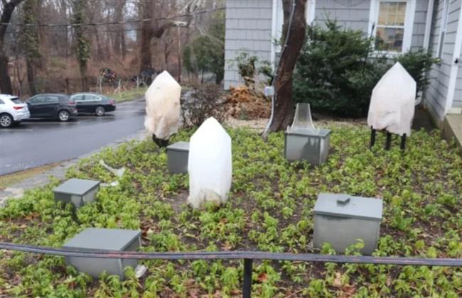 حدث في نيويورك.. لص يسرق أحجارًا نادرة ويحاول بيعها للشرطة