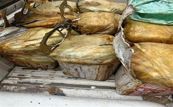 محافظ أسيوط: ضبط أكثر من 5 أطنان أغذية غير صالحة خلال حملات بيطرية مكثفة