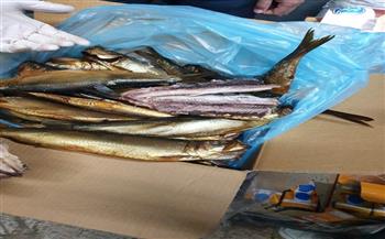 ضبط أكثر من 3 أطنان دواجن وأسماك ولحوم مجهولة المصدر بالشرقية