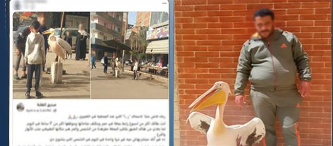 الداخلية تكشف ملابسات واقعة تقييد بجعة أمام محل أسماك بطنطا وتضبط صاحب المحل