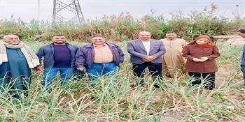 محافظ الفيوم يتابع جهود مديرية الزراعة في دعم المزارعين وتعزيز التنمية المستدامة