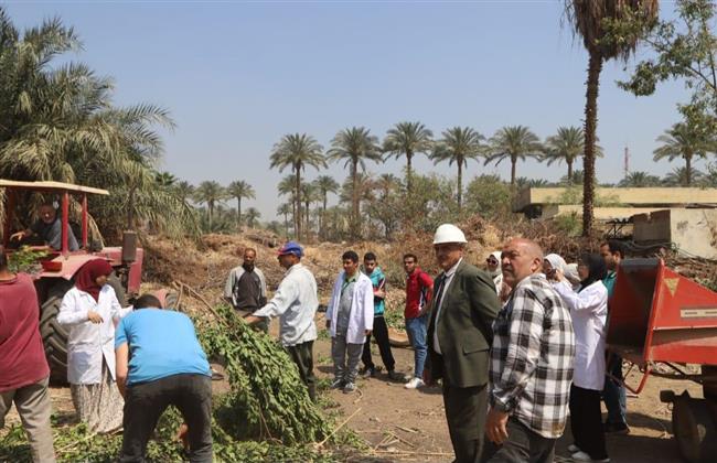 جامعة القاهرة تدشّن وحدة متخصصة لتدوير المخلفات الزراعية بكلية الزراعة 