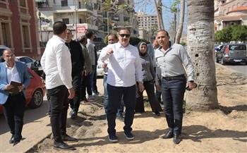محافظ بورسعيد يتفقد أعمال زراعة المسطح الأخضر بشارع صلاح سالم بحي الشرق ويوجه بالتوسع في التشجير