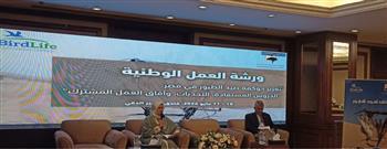 مستشار شيخ الأزهر: حماية البيئة مسؤولية جماعية تتطلب وعيًا حيًا وتكاملًا بين المؤسسات