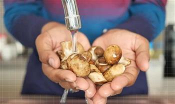 لربات البيوت.. أطعمة لا ينصح بغسلها في الحوض   