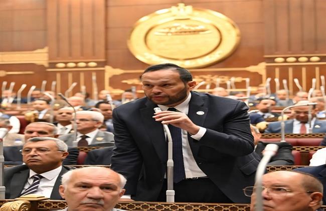 رئيس مجلس الشيوخ يهنئ النائب محمد حلاوة بمنصبه بالبرلمان الأفريقي 